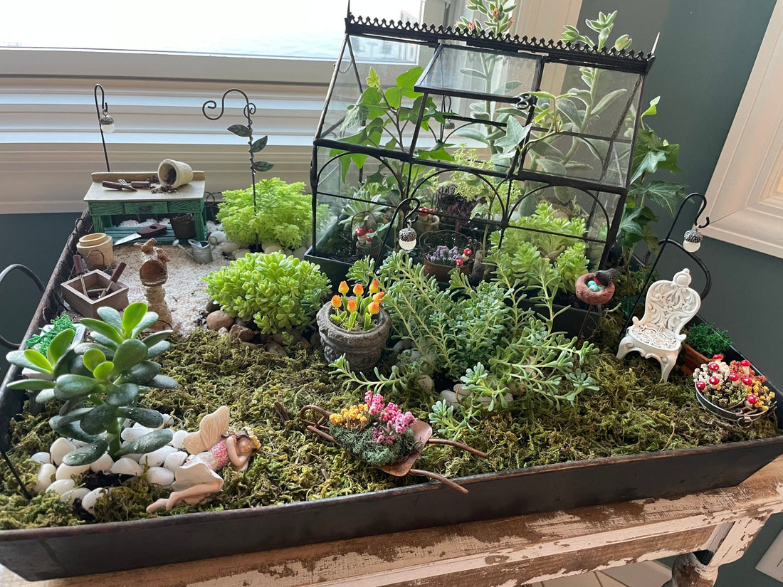 Family Gardening With Terrariums