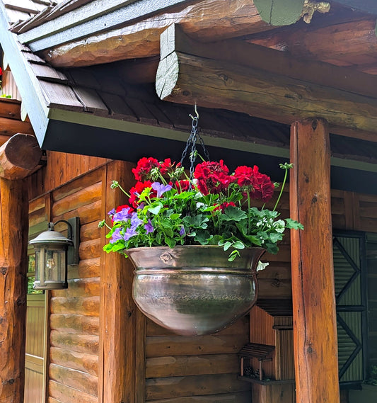 Container Gardening This Fall