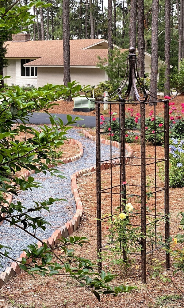 How to Train Vining Plants on a Garden Trellis