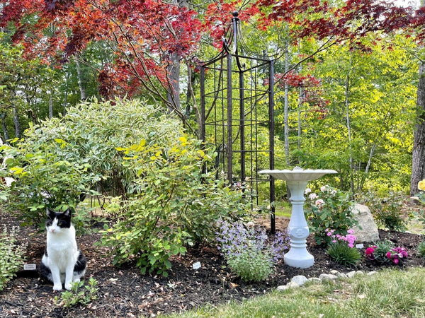 h potter obelisk trellis in fall garden