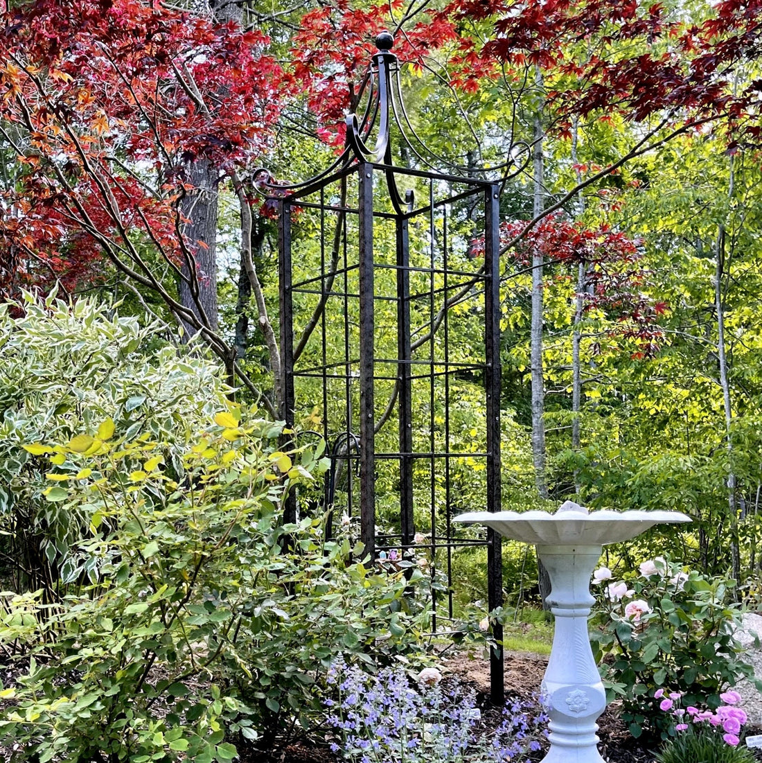 Fertilizing Your Garden For Success