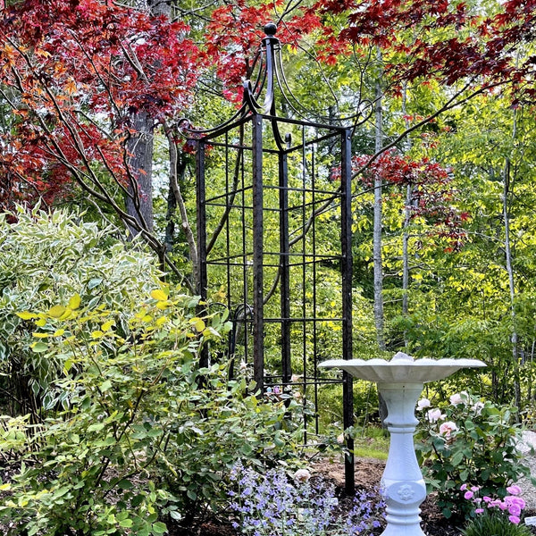 How to Fertilize a Garden for Healthy Growth