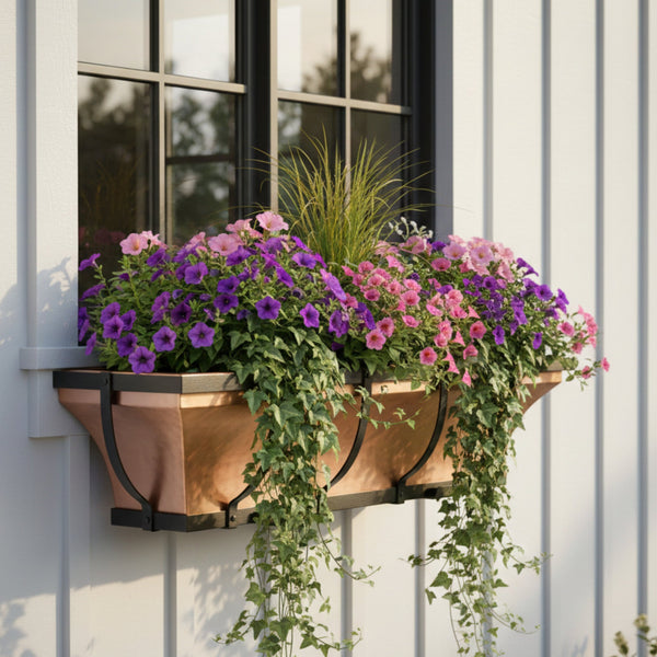 Flower Boxes for Windows: Care & Maintenance Guide