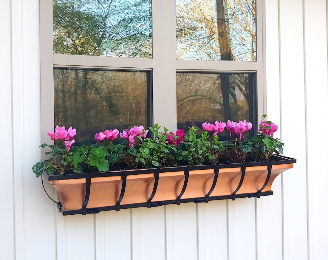 Tips For Planting Your Window Box