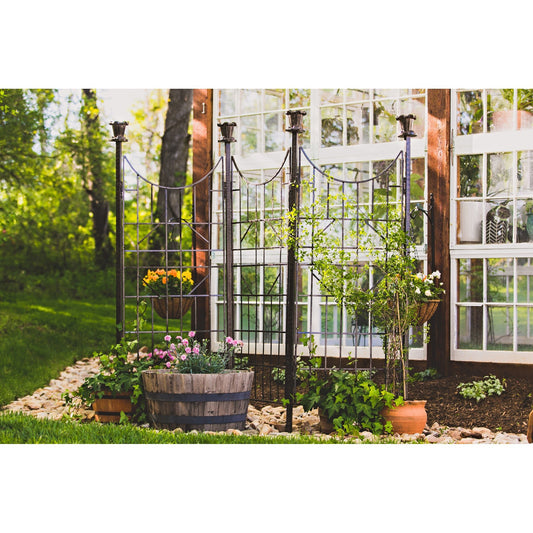 H Potter brand metal garden trellis screen with grid pattern outdoor landscape architectural structure next to greenhouse