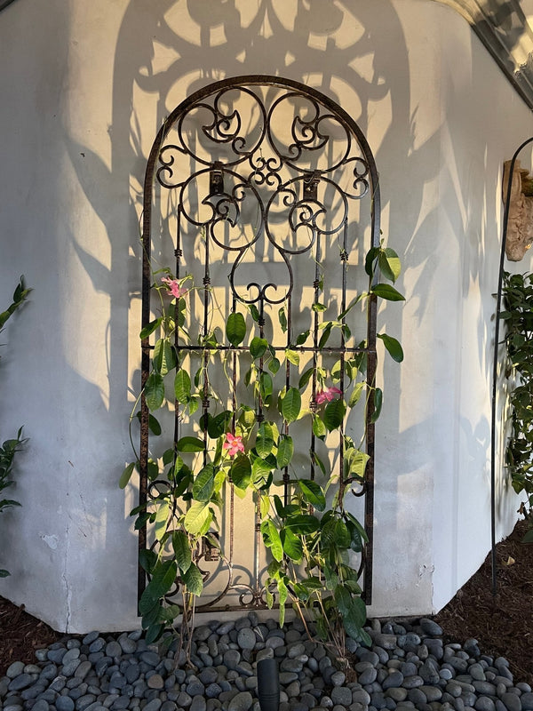 h potter metal garden trellis with roses