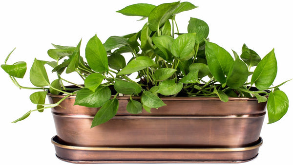 Container Ideas For Gifts