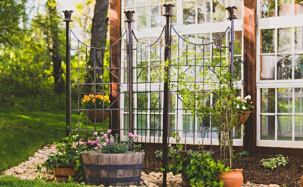 Summer Maintenance for Outdoor Planters