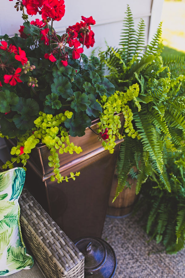 The Importance of Drainage Holes in Outdoor Garden Planters: A Guide to Healthy Planting