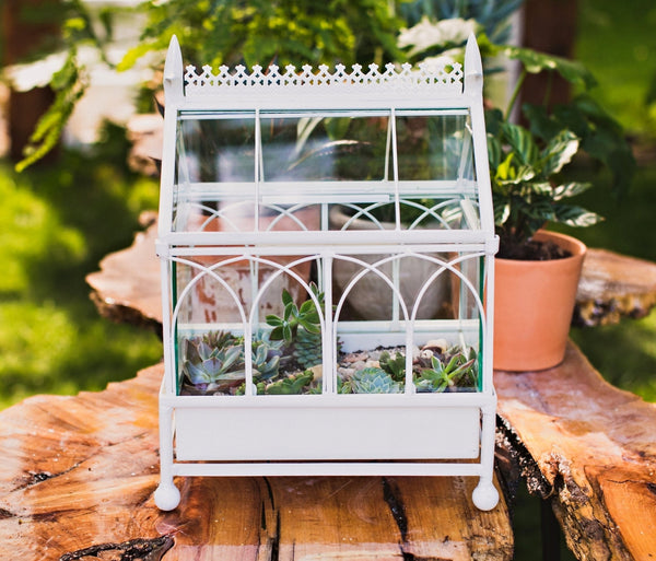H Potter brand small white Wardian Case terrarium metal with glass walls for indoor garden houseplants