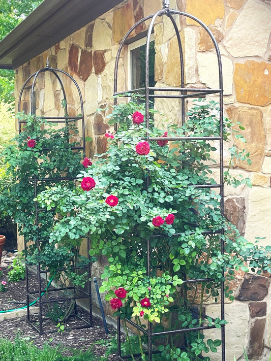 H Potter brand metal garden obelisk trellis with grid pattern outdoor landscape architectural structure red roses