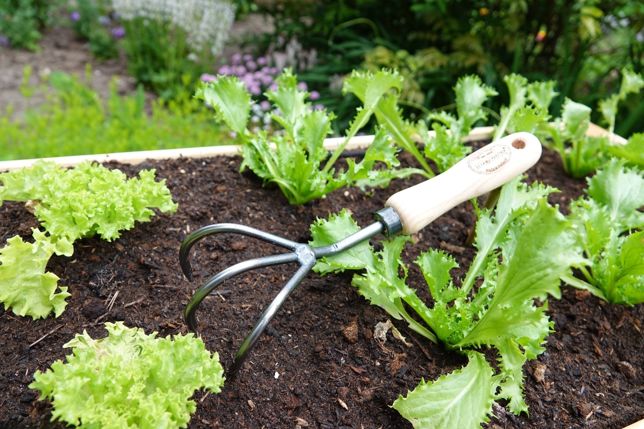 H Potter Cultivator - Thumbnail 3