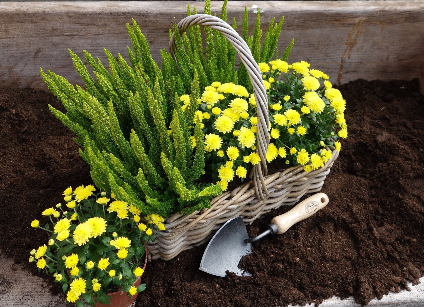 basket of flowers with a metal potting trowel in a gardening bed
