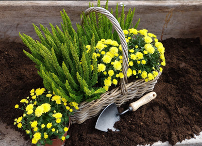 basket of flowers with a metal potting trowel in a gardening bed