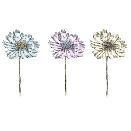 H Potter Wall Art Set of 3 Decor Prints Gallery Fine Art Wall Framed Large Canvas with Floral Botanical Theme Daisies Daisy