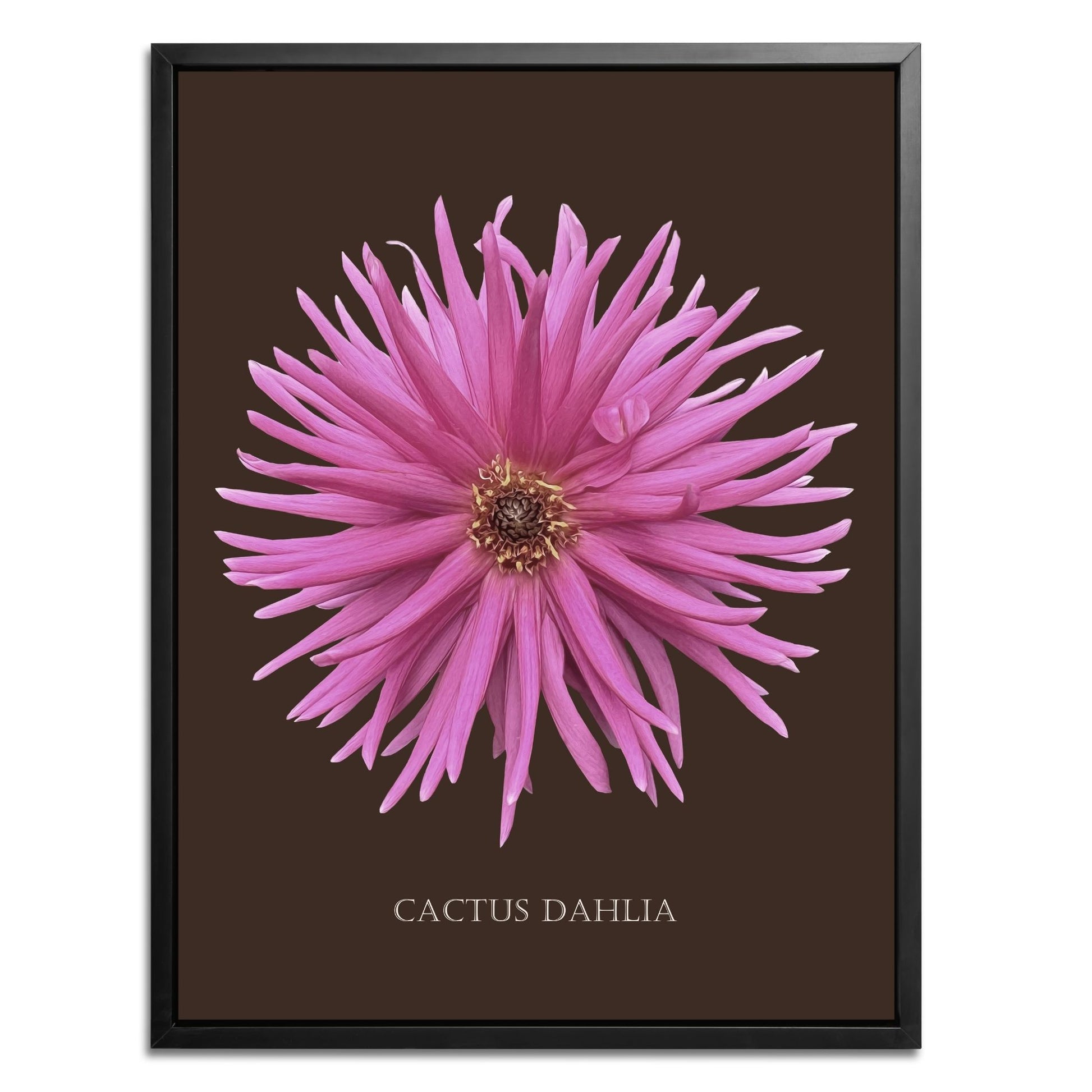 Pink Cactus Botanical Fine Art Print by H Potter
