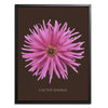 Pink Cactus Botanical Fine Art Print by H Potter