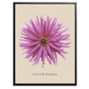 Pink Cactus Botanical Fine Art Print by H Potter
