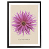 Pink Cactus Botanical Fine Art Print by H Potter