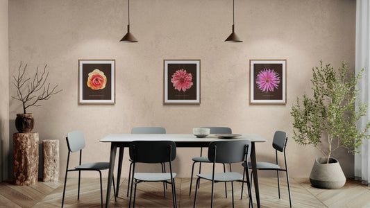 Dahlia Et Ranunculus Set Botanical Fine Art Print by H Potter