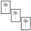 Daisy Set Botanical Fine Art Print by H Potter