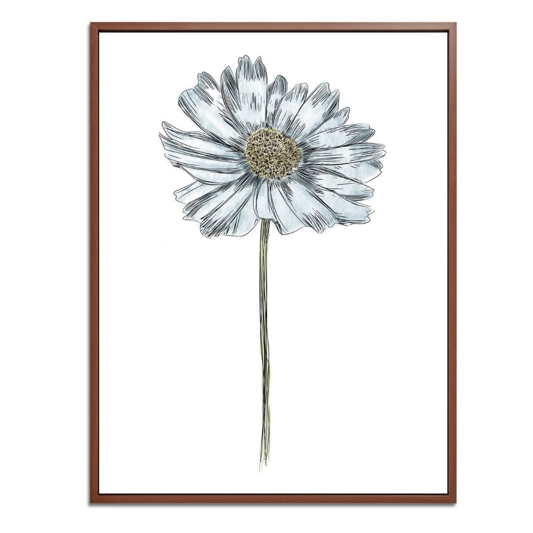 Daisy Botanical Fine Art Print by H Potter Blue