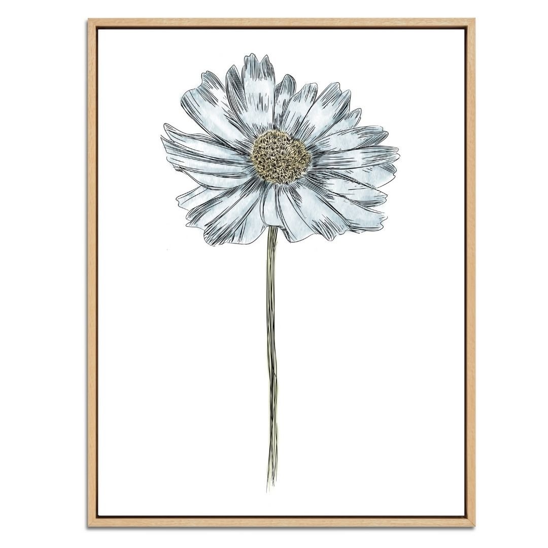 Daisy Botanical Fine Art Print by H Potter Blue