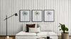 Daisy Set Botanical Fine Art Print by H Potter