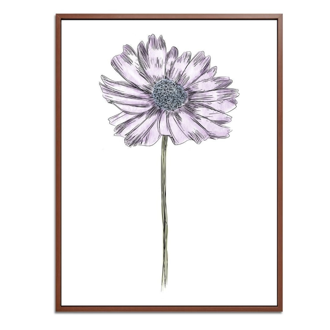 Daisy Botanical Fine Art Print by H Potter Purple