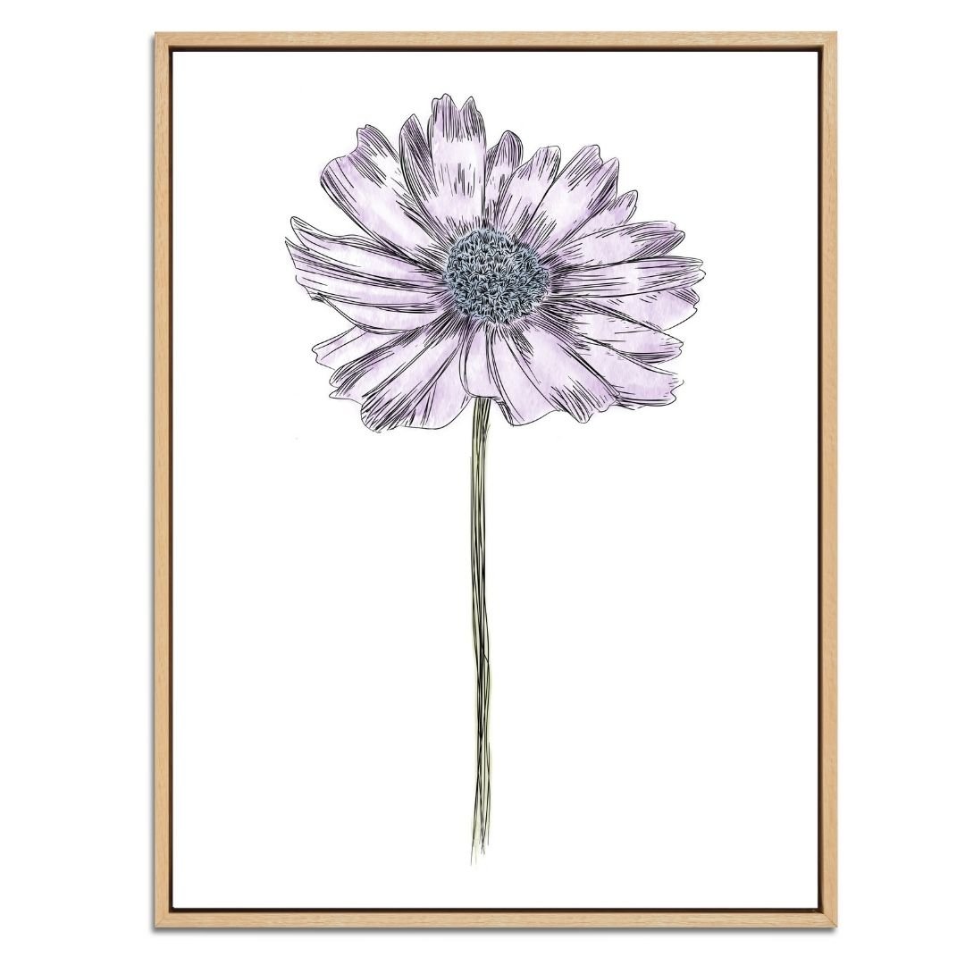 Daisy Botanical Fine Art Print by H Potter Purple