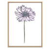 Daisy Botanical Fine Art Print by H Potter Purple