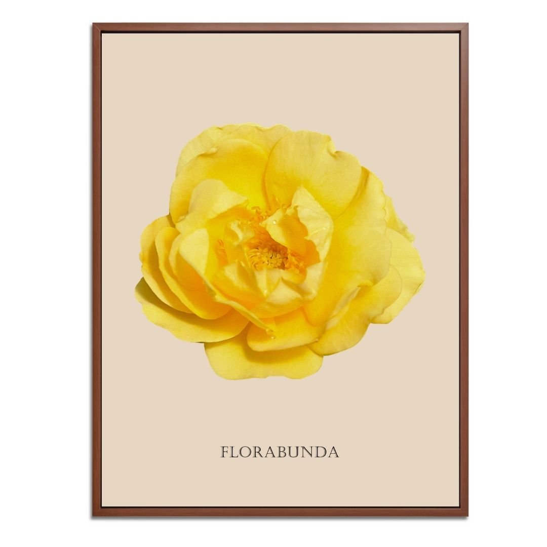 Yellow Florabunda Rose Botanical Fine Art Print by H Potter