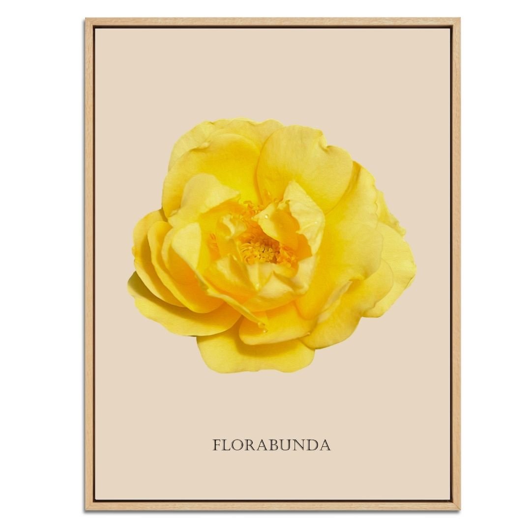Yellow Florabunda Rose Botanical Fine Art Print by H Potter