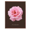 Pink Grandiflora Rose Botanical Fine Art Print by H Potter