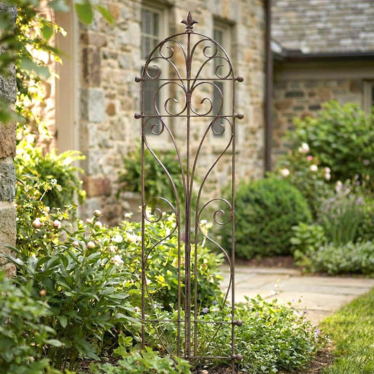 Iron garden trellis for climbing plants 