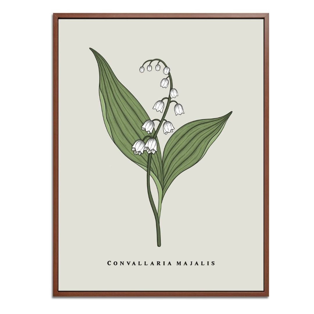 Lily of the Valley Botanical Fine Art Print by H Potter
