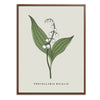 Lily of the Valley Botanical Fine Art Print by H Potter