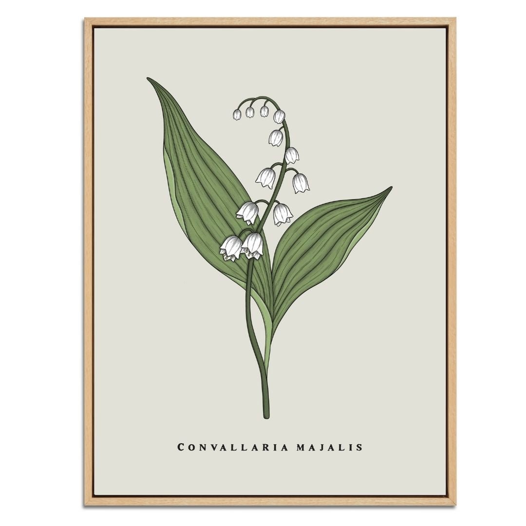 Lily of the Valley Botanical Fine Art Print by H Potter