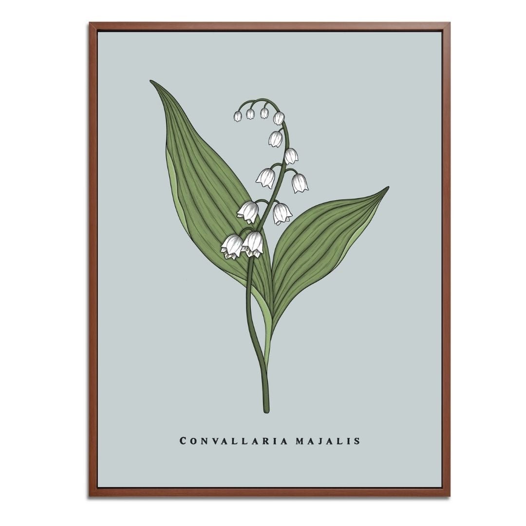 Lily of the Valley Botanical Fine Art Print by H Potter