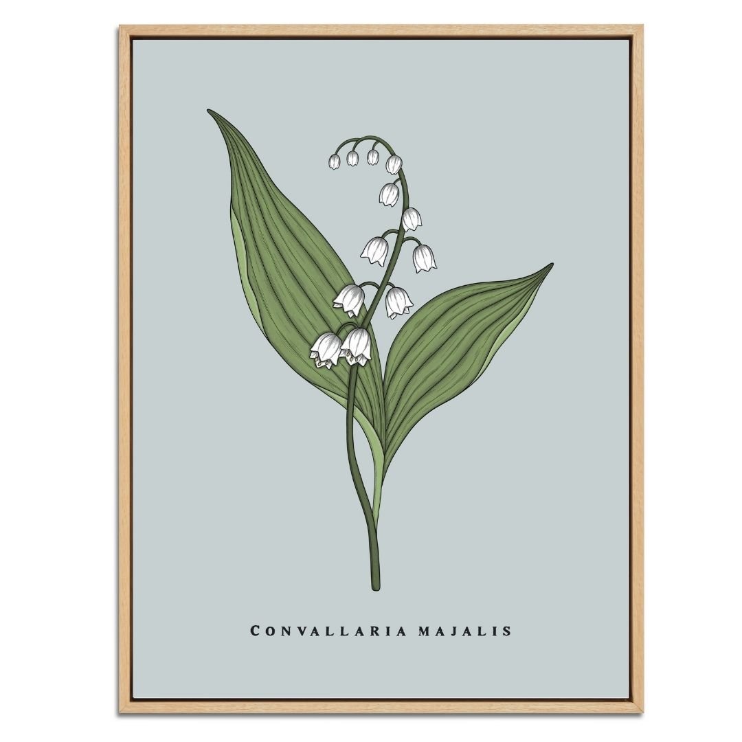 Lily of the Valley Botanical Fine Art Print by H Potter