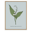 Lily of the Valley Botanical Fine Art Print by H Potter