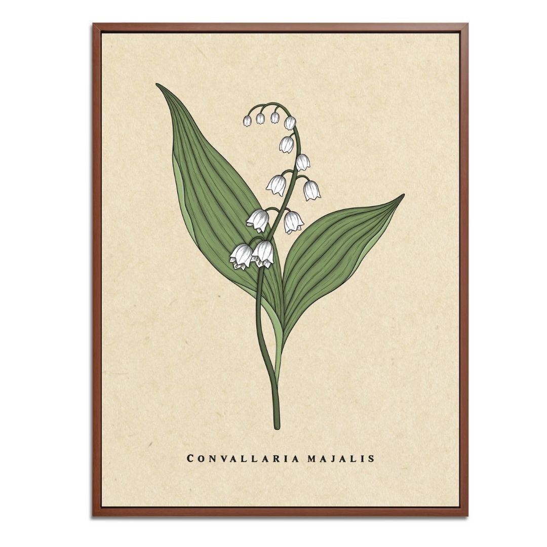 Lily of the Valley Botanical Fine Art Print by H Potter
