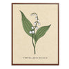 Lily of the Valley Botanical Fine Art Print by H Potter