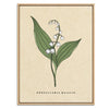 Lily of the Valley Botanical Fine Art Print by H Potter