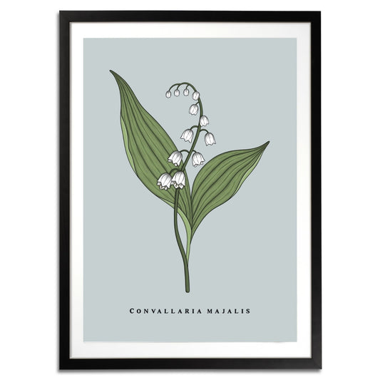 Lily of the Valley Botanical Fine Art Print by H Potter