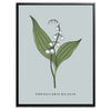 Lily of the Valley Botanical Fine Art Print by H Potter