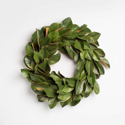 green magnolia leaf holiday wreath on a white background