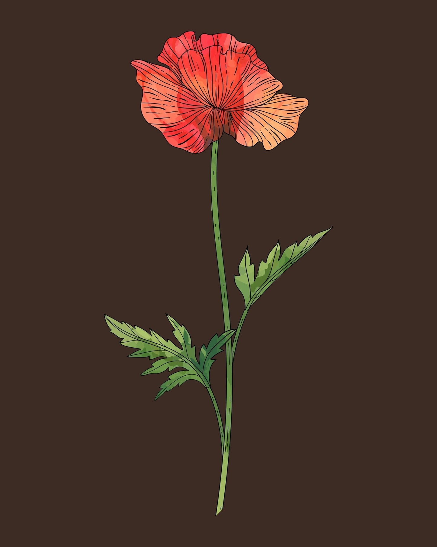 Poppy Botanical Fine Art Print by H Potter 1