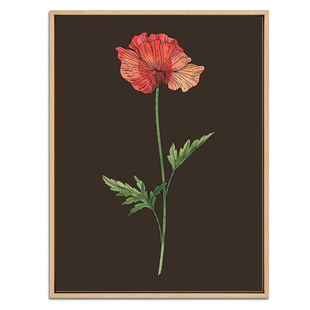 Poppy Botanical Fine Art Print by H Potter 1