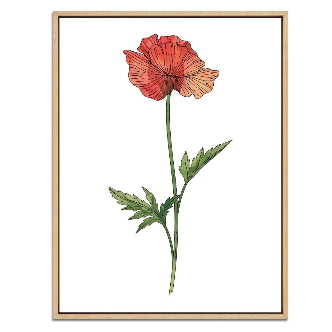 Poppy Botanical Fine Art Print by H Potter 1